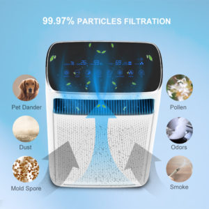 Air purifier and Humidifier