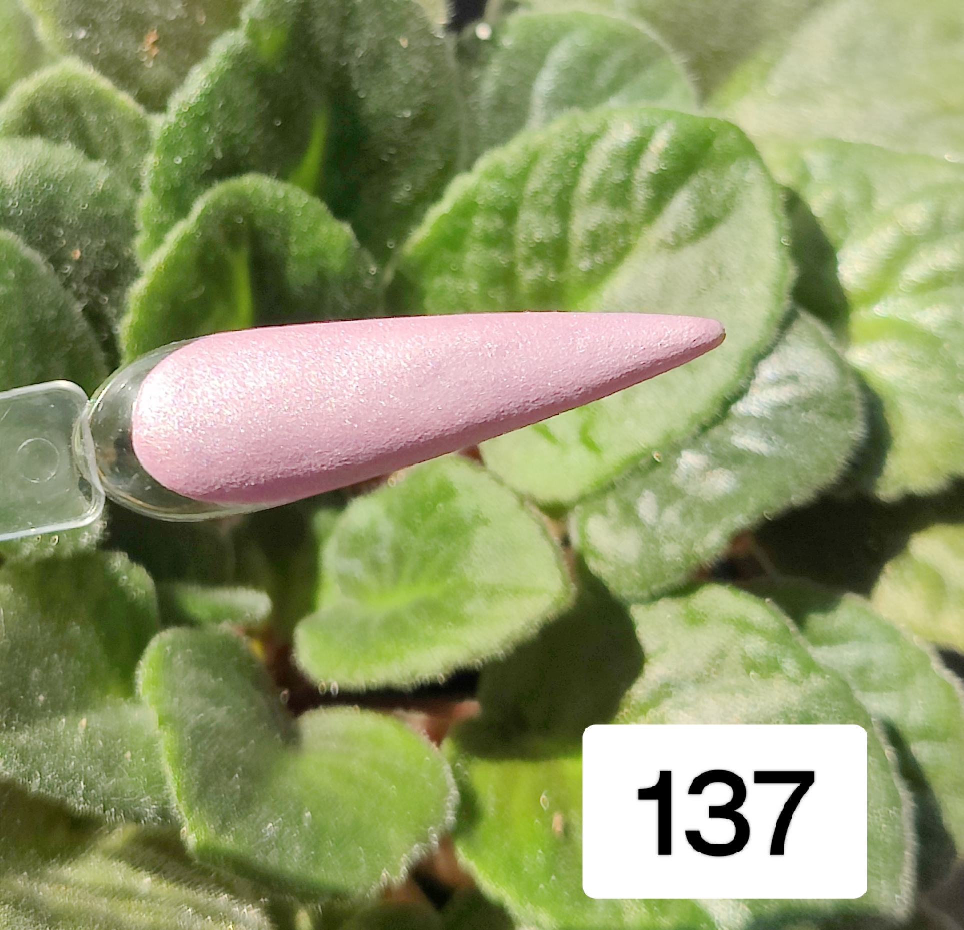 Color Acrylic Nº 137 - Image 2