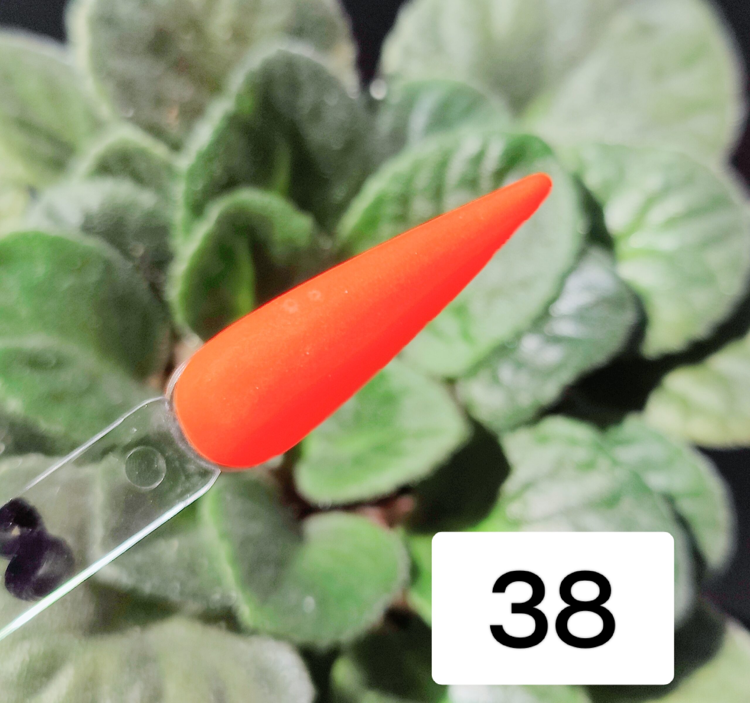 Color Acrylic Nº 38 - Image 2